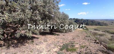 Terrain à Pézenas en Hérault (34) de 5280 m² à vendre au prix de 17000€ - 4