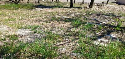 Terrain à Forcalquier en Alpes-de-Haute-Provence (04) de 820 m² à vendre au prix de 145000€ - 4