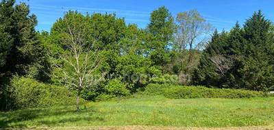 Terrain à Saint-Genès-de-Lombaud en Gironde (33) de 1609 m² à vendre au prix de 155000€ - 3