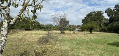 Terrain à Coufouleux en Tarn (81) de 2300 m² à vendre au prix de 115000€ - 2