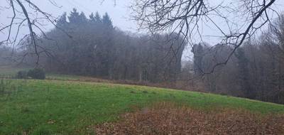 Terrain à Saint-Sornin-Lavolps en Corrèze (19) de 8903 m² à vendre au prix de 50000€ - 2