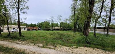 Terrain à Saint-Denis-de-Pile en Gironde (33) de 1200 m² à vendre au prix de 66000€ - 3