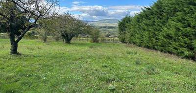 Terrain à Anse en Rhône (69) de 1063 m² à vendre au prix de 257500€ - 2