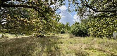 Terrain à Pessac en Gironde (33) de 2000 m² à vendre au prix de 320000€ - 1