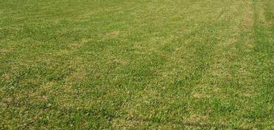 Terrain à Pérignac en Charente-Maritime (17) de 1270 m² à vendre au prix de 25000€ - 2