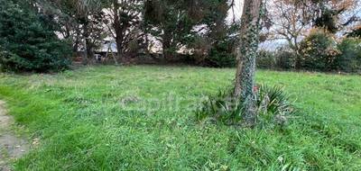 Terrain à Pléneuf-Val-André en Côtes-d'Armor (22) de 570 m² à vendre au prix de 173000€ - 2