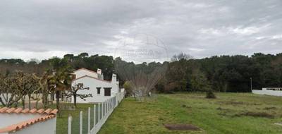 Terrain à Saint-Palais-sur-Mer en Charente-Maritime (17) de 504 m² à vendre au prix de 99500€ - 3
