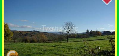 Terrain à Nizerolles en Allier (03) de 0 m² à vendre au prix de 24000€ - 2