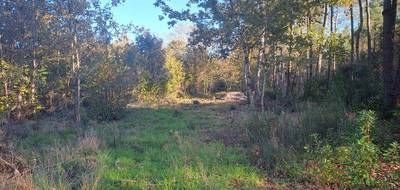 Terrain à Saint-Sauveur en Gironde (33) de 3658 m² à vendre au prix de 88000€ - 4