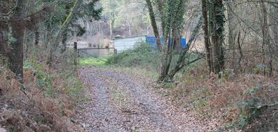 Terrain à Saint-Mars-la-Brière en Sarthe (72) de 6800 m² à vendre au prix de 26900€ - 3