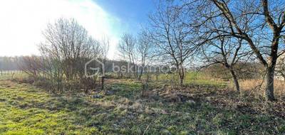 Terrain à Bailly-le-Franc en Aube (10) de 1490 m² à vendre au prix de 15000€ - 4