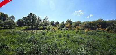 Terrain à Saint-Guyomard en Morbihan (56) de 910 m² à vendre au prix de 89000€ - 2