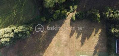 Terrain à Noyers en Loiret (45) de 4612 m² à vendre au prix de 43000€ - 2