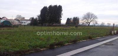 Terrain à Spechbach en Haut-Rhin (68) de 540 m² à vendre au prix de 121500€ - 2