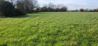 Terrain à Saint-Philbert-de-Grand-Lieu en Loire-Atlantique (44) de 10045 m² à vendre au prix de 391800€ - 3