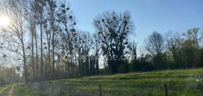 Terrain à Chivres-en-Laonnois en Aisne (02) de 6242 m² à vendre au prix de 25000€ - 2