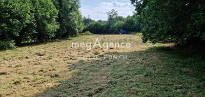 Terrain à Plounérin en Côtes-d'Armor (22) de 1000 m² à vendre au prix de 24000€ - 1