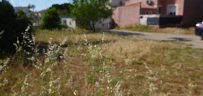 Terrain à Frontignan en Hérault (34) de 308 m² à vendre au prix de 190000€ - 3