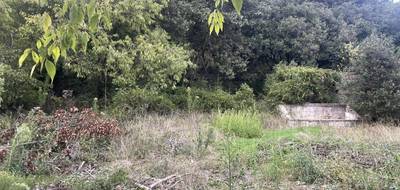 Terrain à La Capelle-et-Masmolène en Gard (30) de 486 m² à vendre au prix de 92000€ - 2