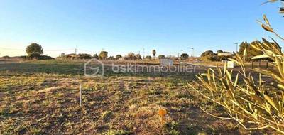 Terrain à Canet en Hérault (34) de 459 m² à vendre au prix de 128000€ - 4