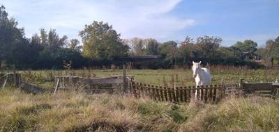 Terrain à Labourgade en Tarn-et-Garonne (82) de 6500 m² à vendre au prix de 150000€ - 3