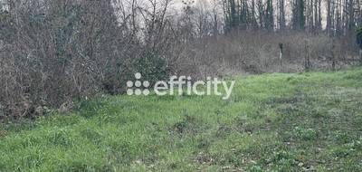 Terrain à Cerny en Essonne (91) de 364 m² à vendre au prix de 143567€ - 2