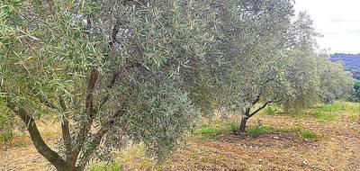 Terrain à Gabian en Hérault (34) de 8000 m² à vendre au prix de 29000€ - 4
