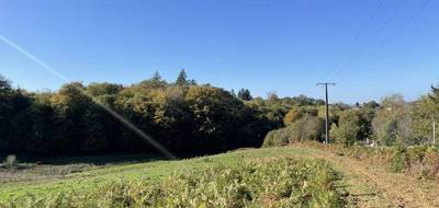 Terrain à Bonnac-la-Côte en Haute-Vienne (87) de 1781 m² à vendre au prix de 32000€ - 4
