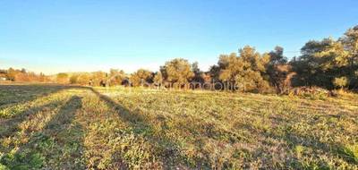 Terrain à Canet en Hérault (34) de 415 m² à vendre au prix de 118000€ - 2