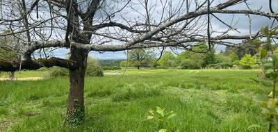 Terrain à Thiviers en Dordogne (24) de 9918 m² à vendre au prix de 39000€ - 4