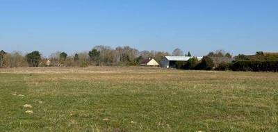Terrain à Saint-Benoît-sur-Loire en Loiret (45) de 1027 m² à vendre au prix de 55000€ - 2