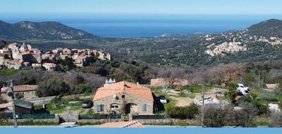 Terrain à Cateri en Haute-Corse (2B) de 2000 m² à vendre au prix de 400000€ - 2