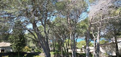 Terrain à Sète en Hérault (34) de 1000 m² à vendre au prix de 890000€ - 4