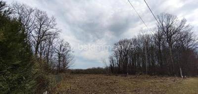 Terrain à Triguères en Loiret (45) de 2900 m² à vendre au prix de 42000€ - 2