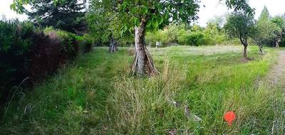 Terrain à Langeais en Indre-et-Loire (37) de 600 m² à vendre au prix de 61000€ - 1