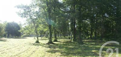 Terrain à Saint-Vivien-de-Médoc en Gironde (33) de 3960 m² à vendre au prix de 80000€ - 2