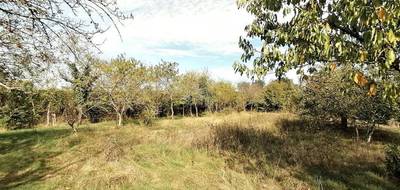 Terrain à Béruges en Vienne (86) de 985 m² à vendre au prix de 62700€ - 1