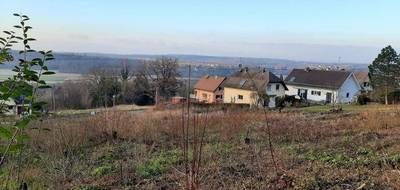 Terrain et maison à Illfurth en Haut-Rhin (68) de 730 m² à vendre au prix de 598400€ - 3