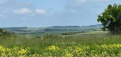 Terrain à Haraucourt en Meurthe-et-Moselle (54) de 661 m² à vendre au prix de 75000€ - 1