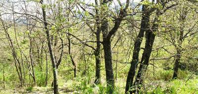 Terrain à Corte en Haute-Corse (2B) de 500 m² à vendre au prix de 55600€ - 2