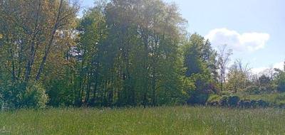 Terrain à Crampagna en Ariège (09) de 1100 m² à vendre au prix de 60000€ - 1