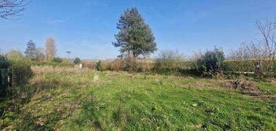 Terrain à Wissant en Pas-de-Calais (62) de 607 m² à vendre au prix de 180000€ - 1