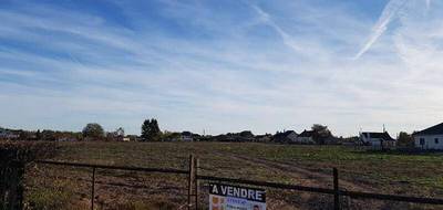 Terrain à Chassenard en Allier (03) de 2699 m² à vendre au prix de 37000€ - 1