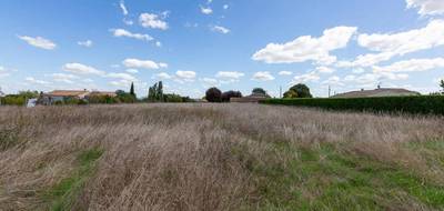 Terrain à Fontaines-d'Ozillac en Charente-Maritime (17) de 3000 m² à vendre au prix de 48000€ - 4