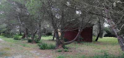 Terrain à Badens en Aude (11) de 1585 m² à vendre au prix de 116667€ - 2