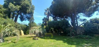 Terrain à Cers en Hérault (34) de 800 m² à vendre au prix de 255000€ - 1