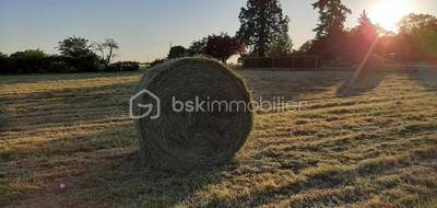 Terrain à Crotelles en Indre-et-Loire (37) de 1349 m² à vendre au prix de 119000€ - 2