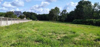 Terrain à La Gacilly en Morbihan (56) de 1041 m² à vendre au prix de 29525€ - 2