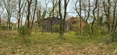 Terrain à Grayan-et-l'Hôpital en Gironde (33) de 7905 m² à vendre au prix de 149990€ - 4