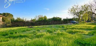 Terrain à Vaugneray en Rhône (69) de 764 m² à vendre au prix de 250000€ - 4